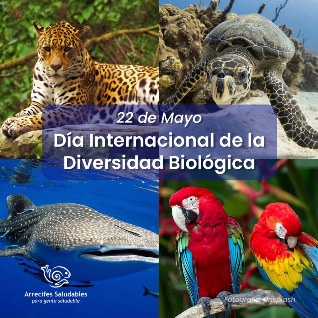 Biodiversidad - Mayo 2022