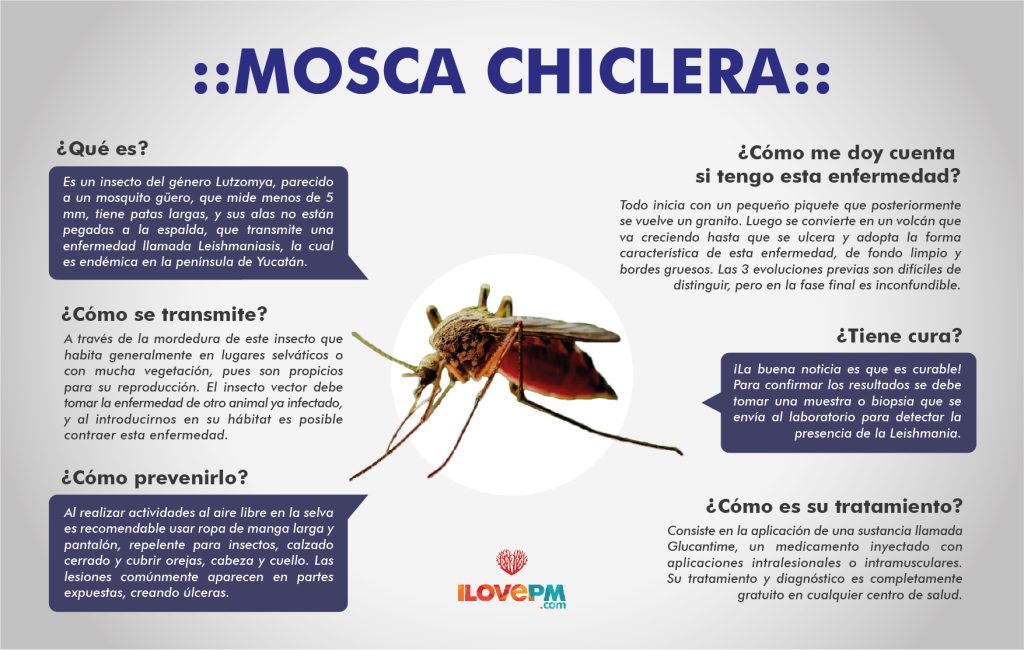 10 cosas secretas que no sabías sobre miguel angel cornejo wikipedia